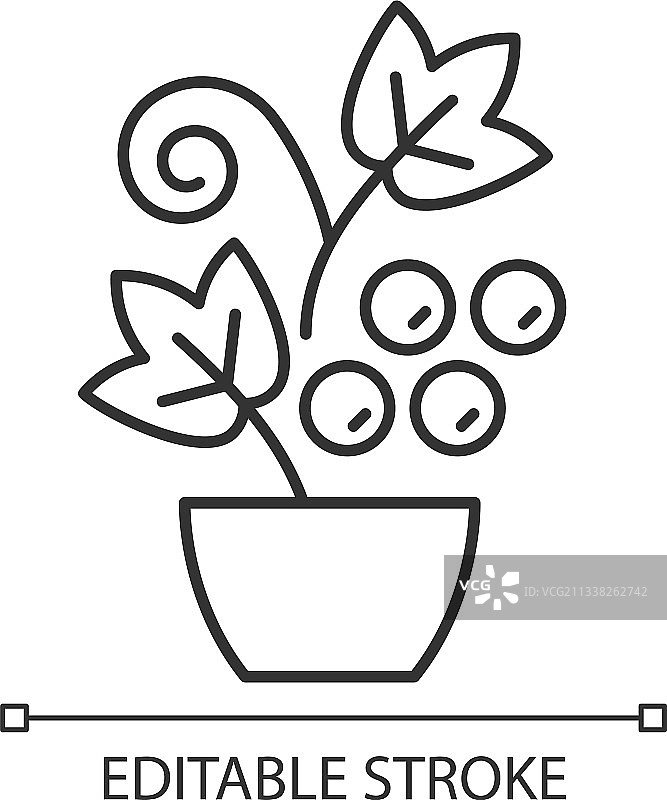 浆果灌木和藤蔓线性图标图片素材