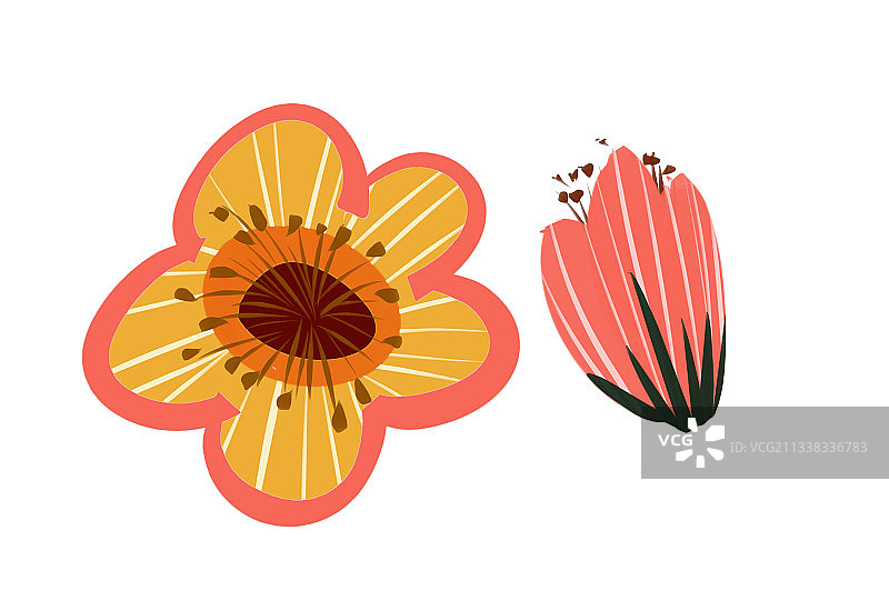 红色花朵插画元素图片素材