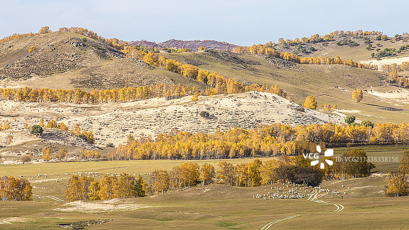 坝上秋色图片素材