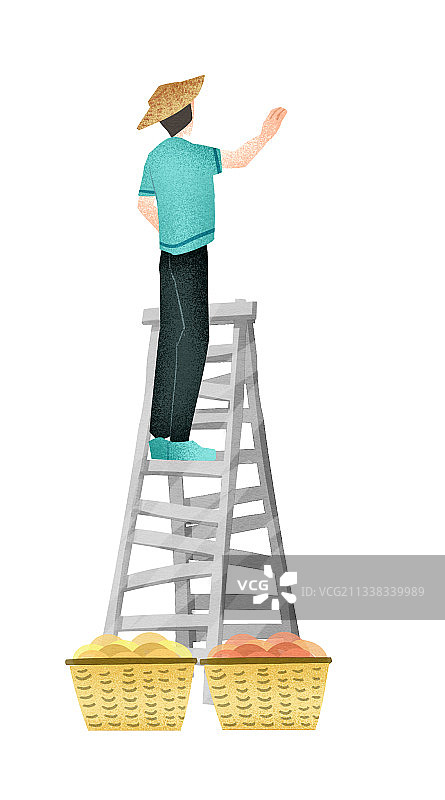 果园丰收员工辛勤劳动插画图片素材