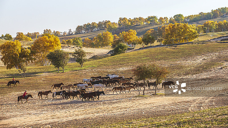 坝上秋色图片素材