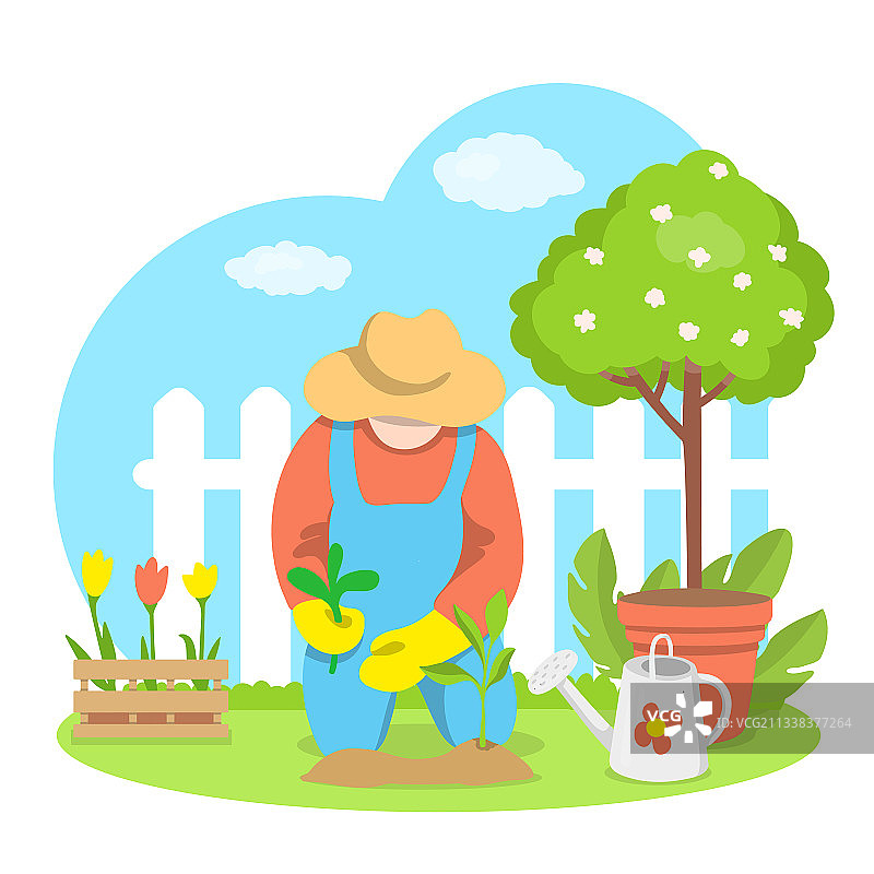 园丁在花园里种植幼苗图片素材