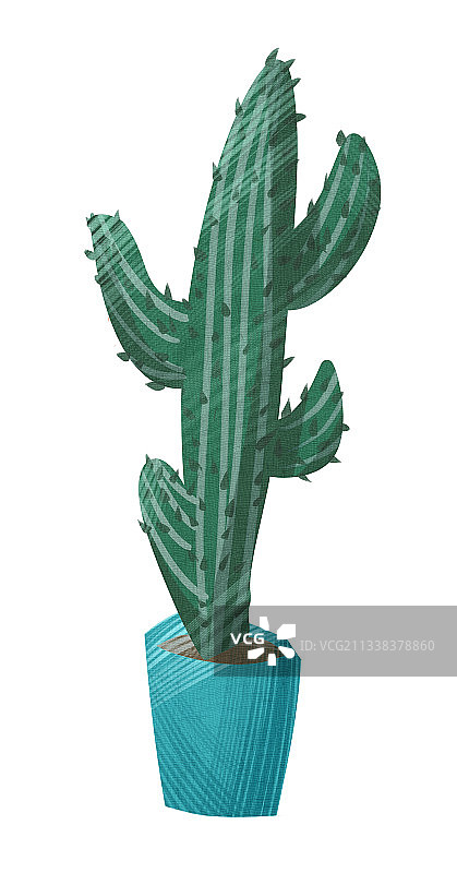 植物仙人掌花盆插画元素图片素材