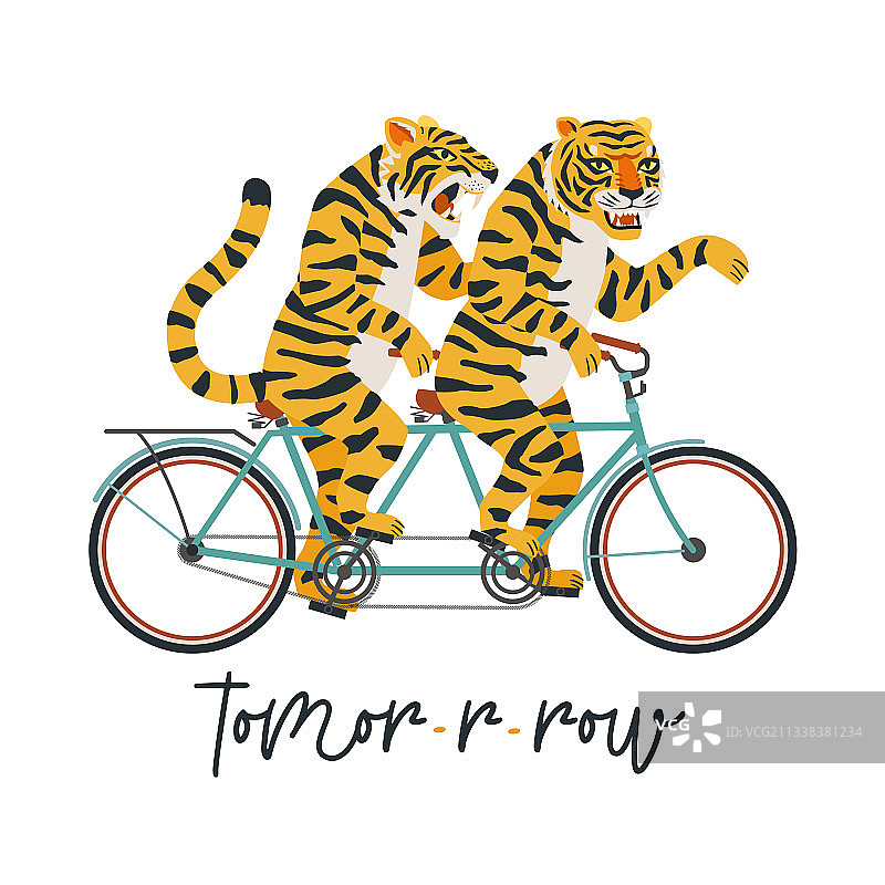 老虎骑双人自行车图片素材