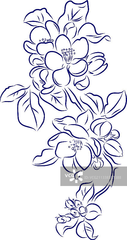 野生花卉叶子春天植物卡片图片素材