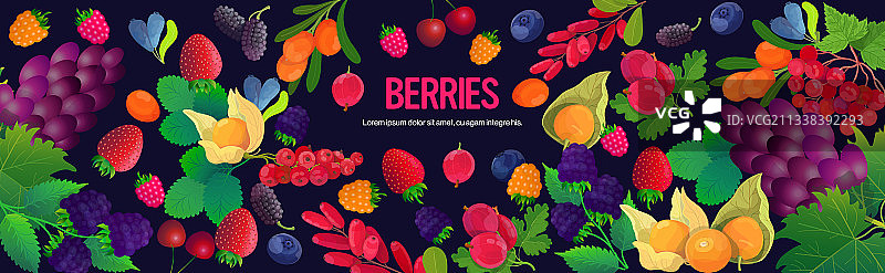 新鲜多汁浆果健康组合图片素材