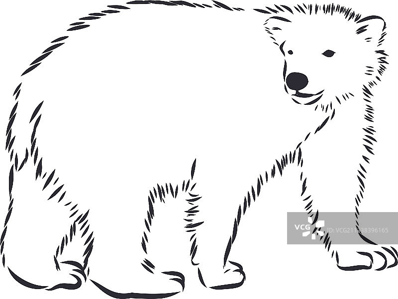 北极熊手绘素描图片素材