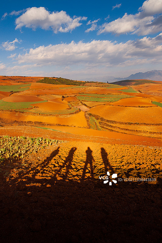 蓝天白云的傍晚四个摄影爱好者的影子投射在东川红土地上图片素材