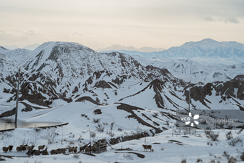 当春雪与丹霞相拥，美色撩人（新疆硫磺沟）图片素材
