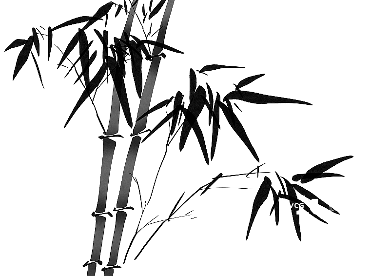 中国风水墨插画设计元素竹子传统节日素材图片素材