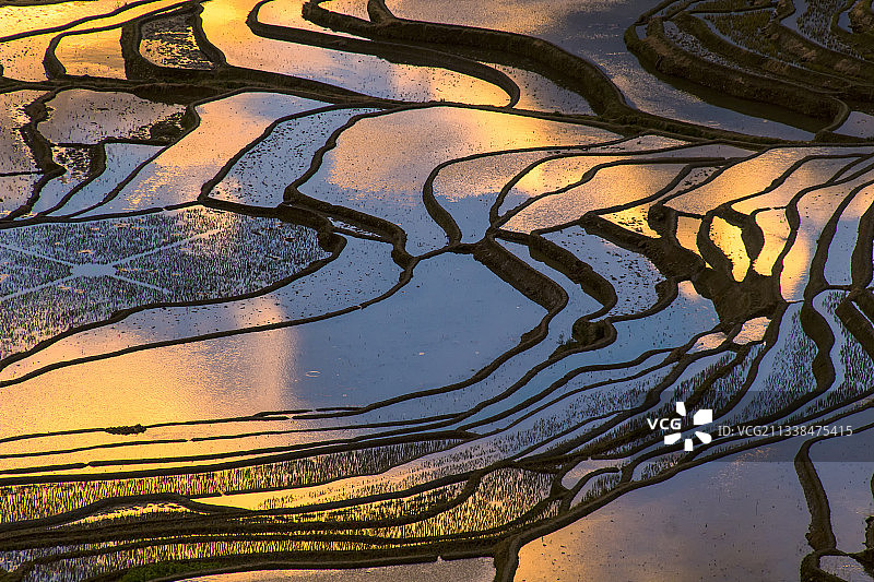 元阳梯田的日出与朝霞，云南红河哈尼梯田图片素材