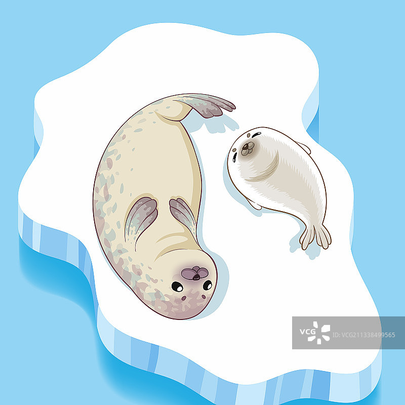 可爱海豹家庭卡通角色设计图片素材