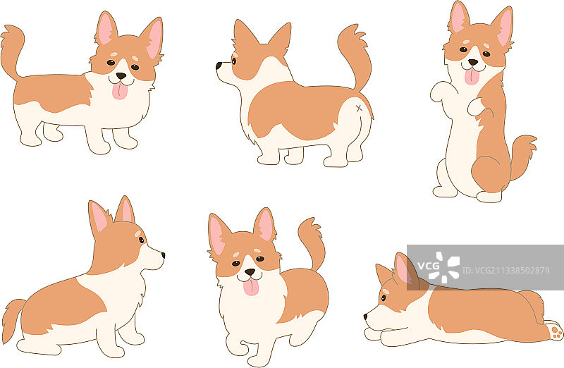 白色背景上的卡通威尔士柯基犬合集图片素材