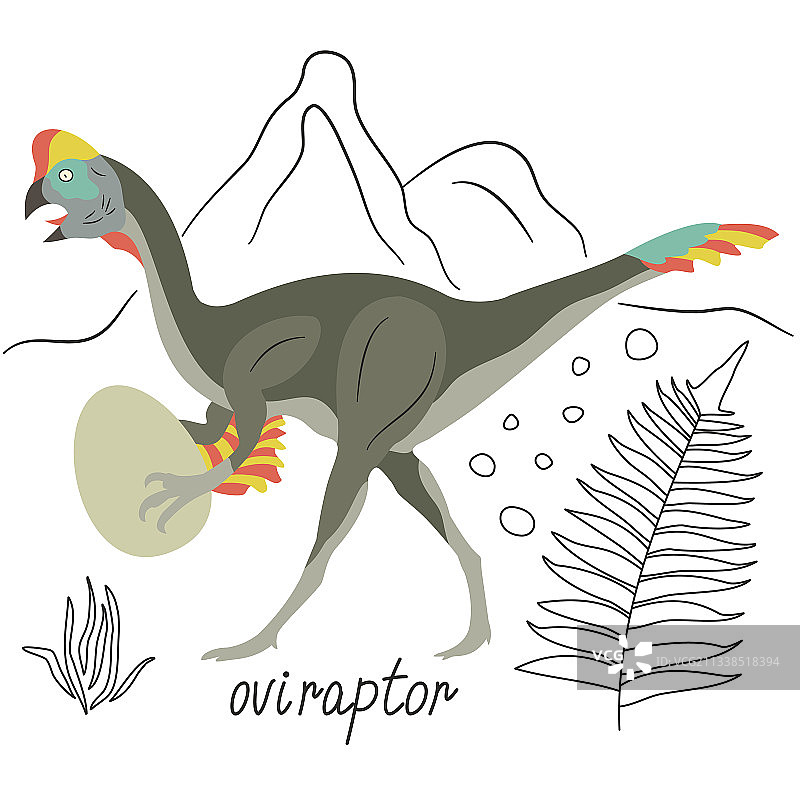 可爱的窃蛋龙与鹦鹉羽毛图片素材