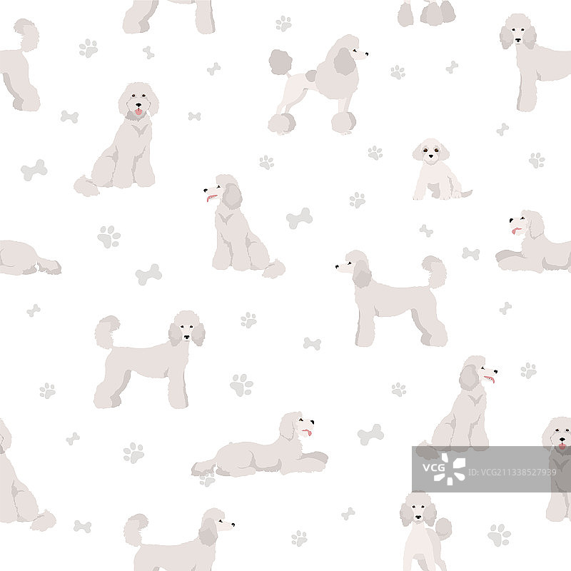 贵宾犬无缝图案图片素材