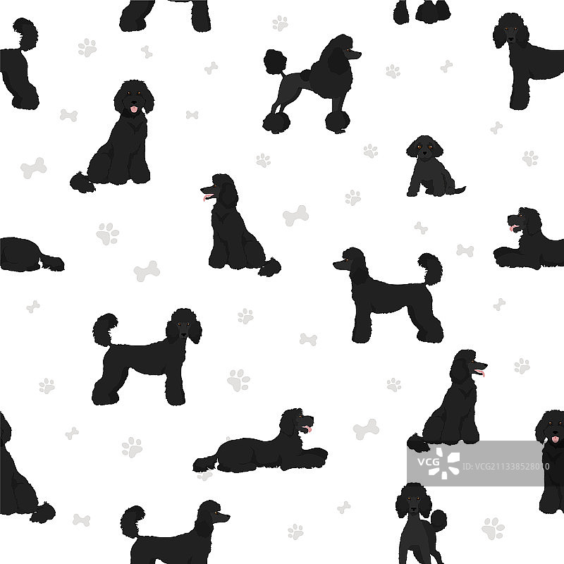贵宾犬无缝图案图片素材