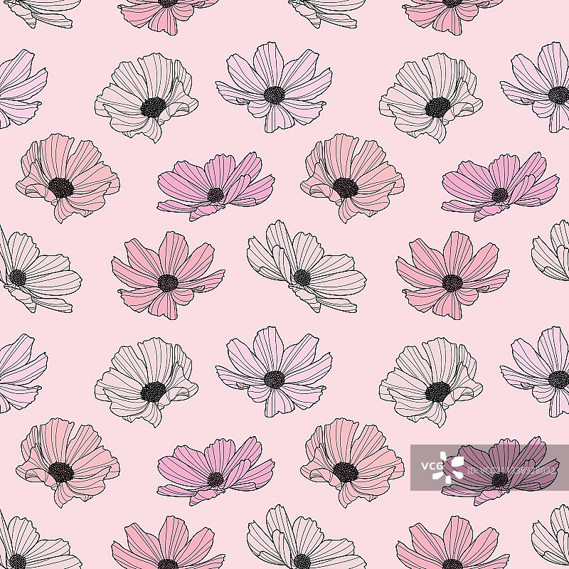 花园波斯菊花卉重复图案图片素材