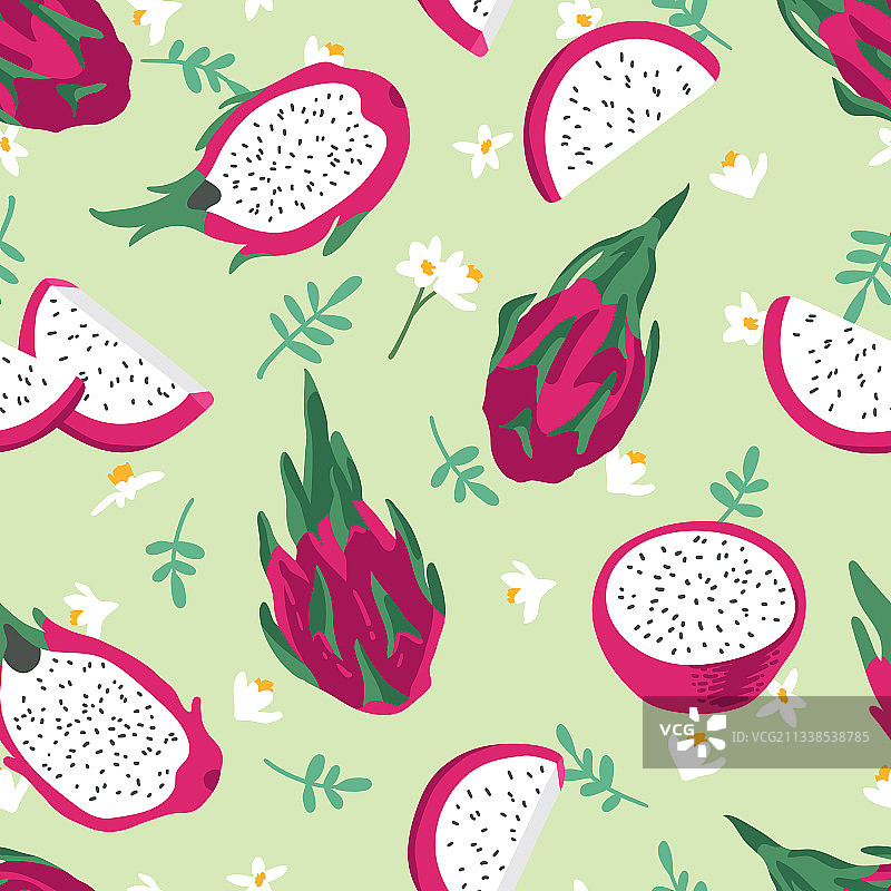 火龙果花夏季图案图片素材