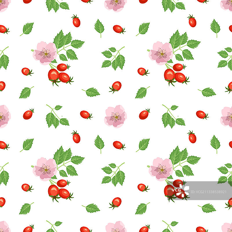 鲜红的玫瑰果鲜艳无缝图案图片素材