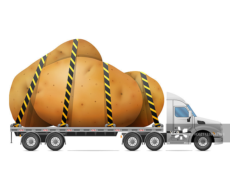 公路运输成熟马铃薯块茎图片素材