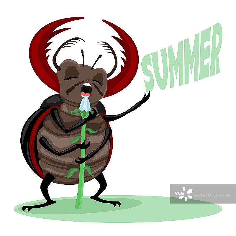 昆虫甲虫唱着关于夏天的歌图片素材