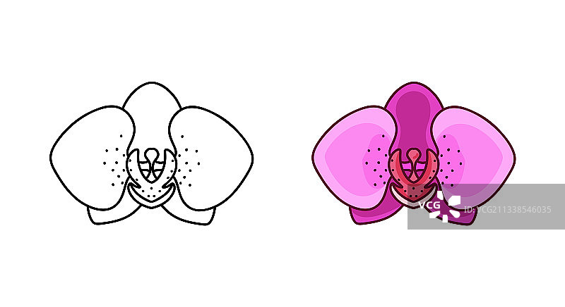 兰花线性涂鸦图标图片素材