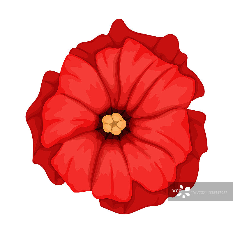 罂粟花卡通图标图片素材