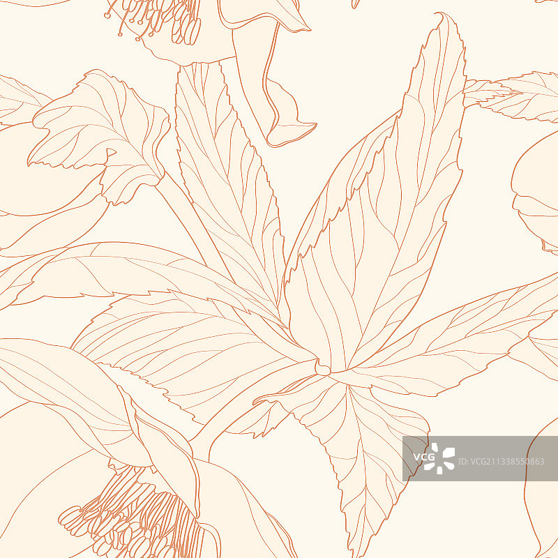 铁筷子花卉花环无缝图案图片素材