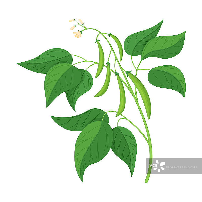 卡通豆子图标图片素材