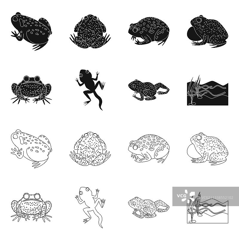 野生动物和沼泽符号设计集图片素材