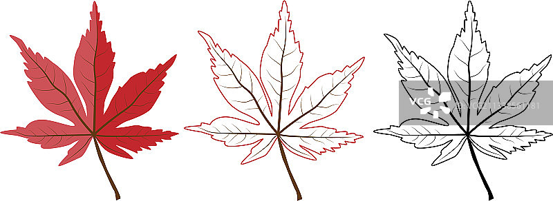 包含彩色葡萄叶的集合图片素材