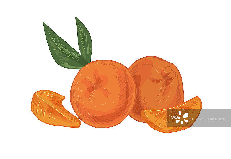 完整的橘子，带剥皮的橘子瓣图片素材