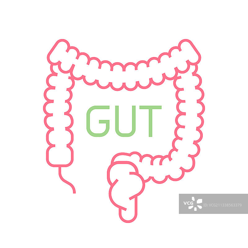 肠道消化人体器官标志图片素材