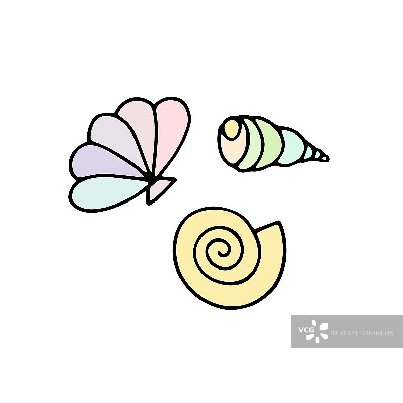 贝壳夏季合集图片素材