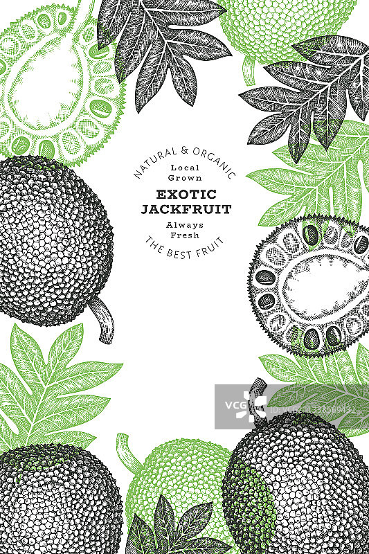 手绘素描风格菠萝蜜banner图片素材