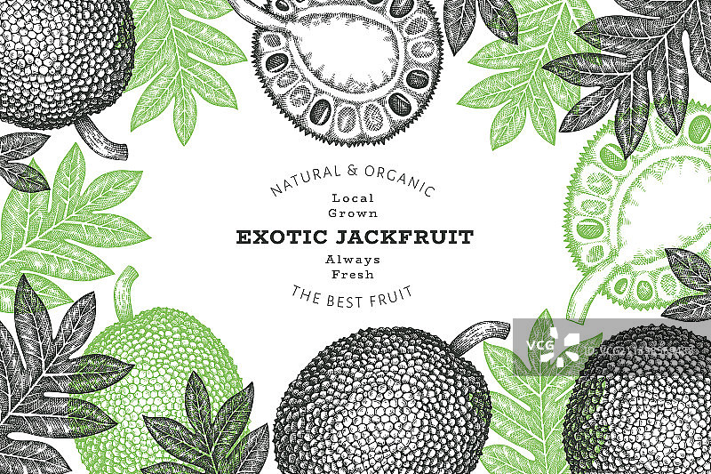手绘素描风格菠萝蜜banner图片素材