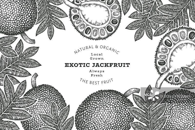手绘素描风格菠萝蜜banner图片素材