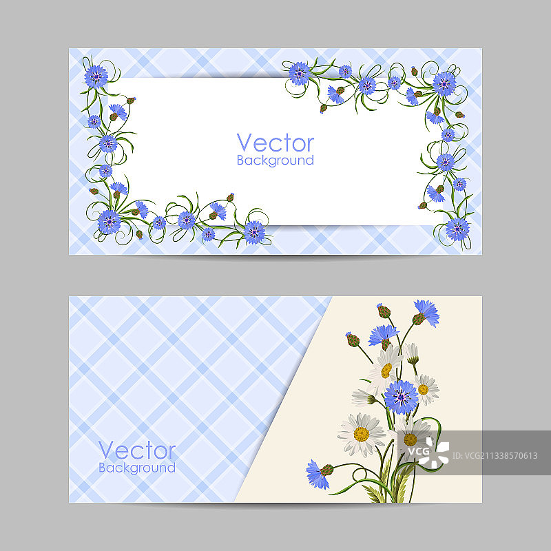 美丽鲜花横幅图片素材