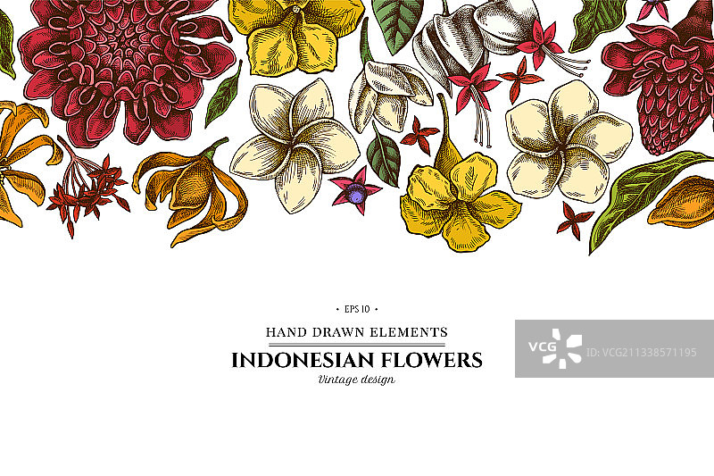 彩色鸡蛋花花卉设计图片素材