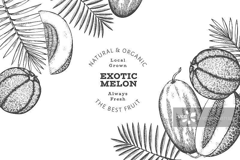 热带树叶哈密瓜设计模板图片素材