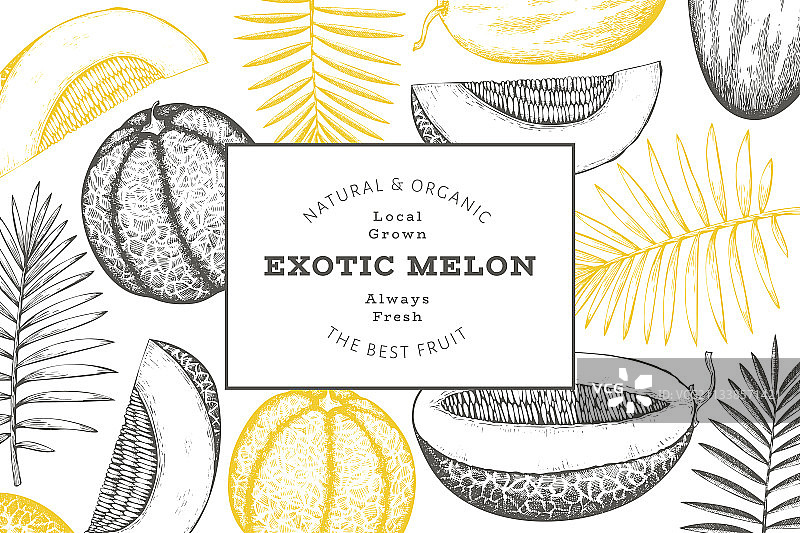 热带树叶哈密瓜设计模板图片素材