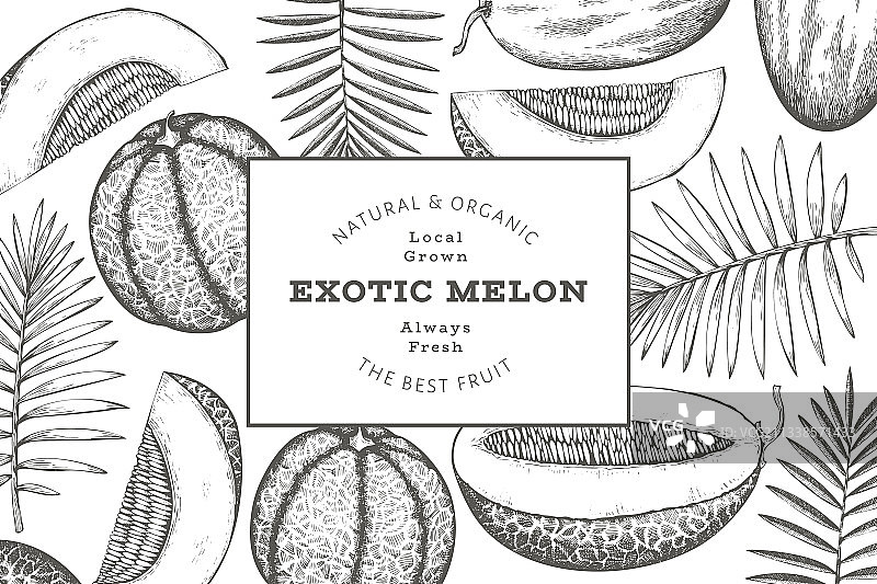 热带树叶哈密瓜设计模板图片素材