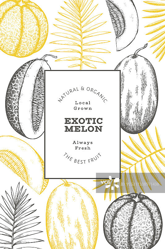热带树叶哈密瓜设计模板图片素材