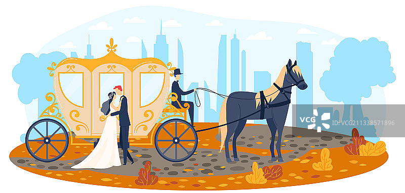 婚礼主题浪漫背景中的年轻马图片素材