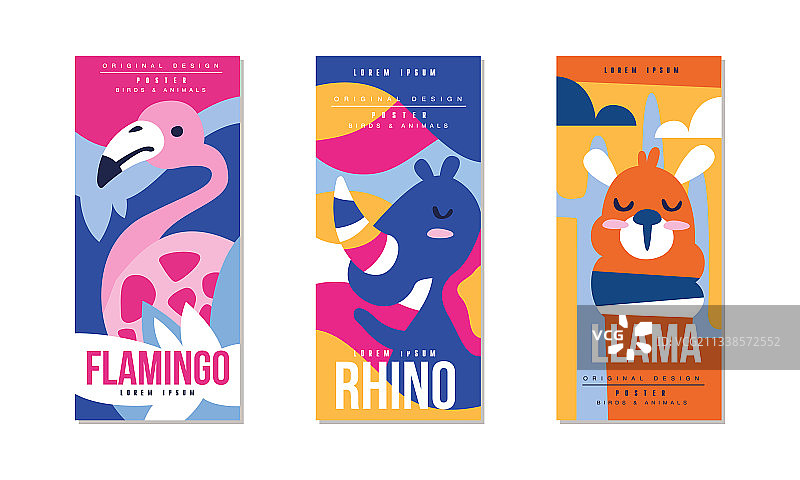 火烈鸟动物和鸟类彩色海报套装图片素材