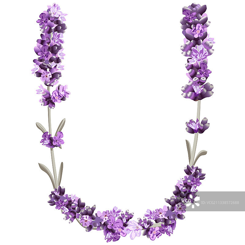 英文字母U图片图片素材