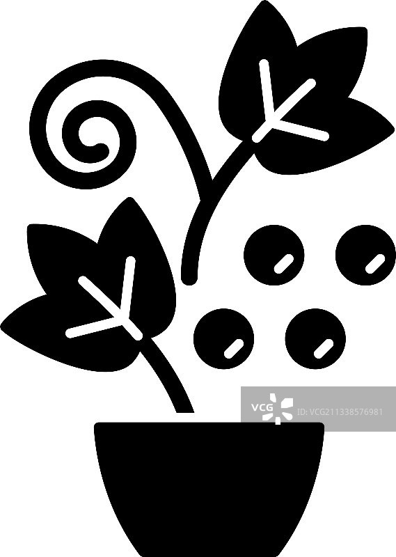 浆果灌木和藤蔓黑色标志图标图片素材