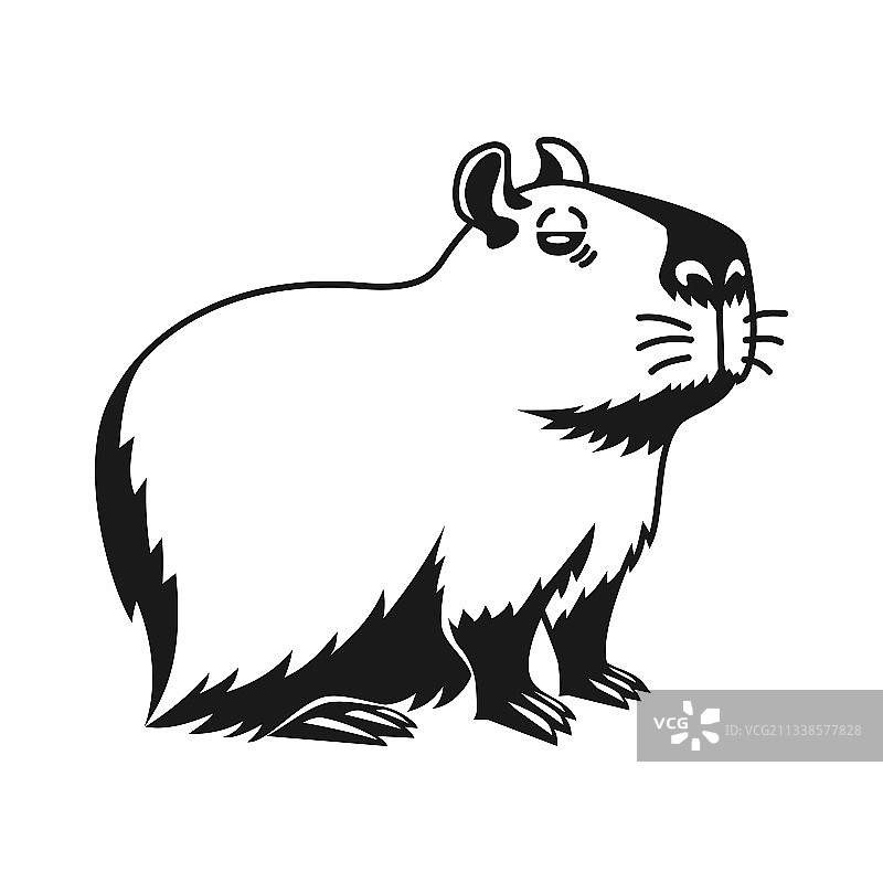 手绘水豚（白色背景，已隔离）图片素材