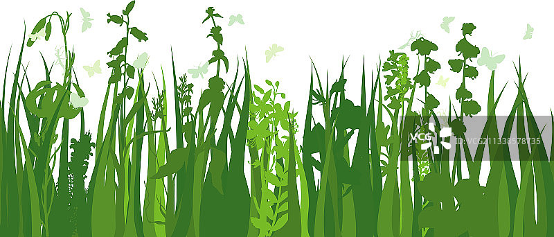 绿色草地图片素材