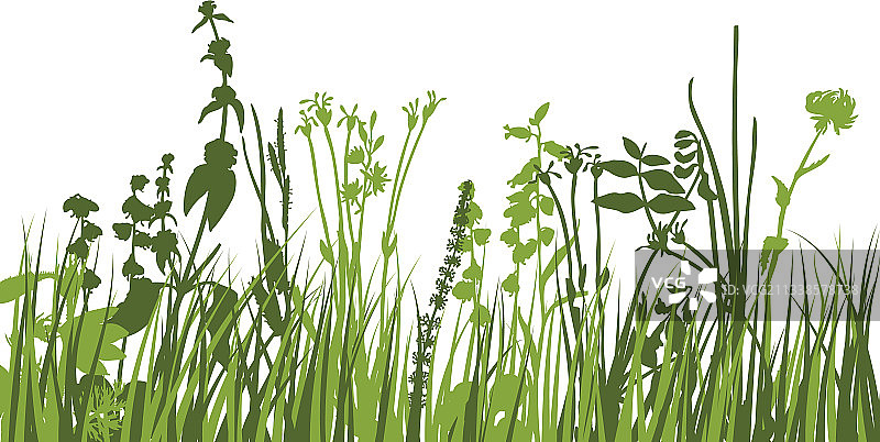 绿色草地图片素材